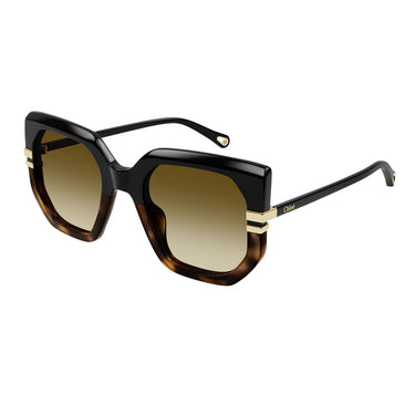 Chloé Occhiali da Sole CH0240S 003 Nero Marrone Donna 2