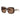 Dolce & Gabbana Occhiali da Sole DG4557 502/73 Marrone/Marrone Scuro Donna