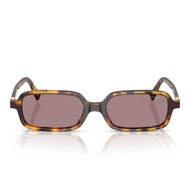 Miu Miu Gafas de Sol MU11Z 14L20I Havana-Viola Claro Mujer