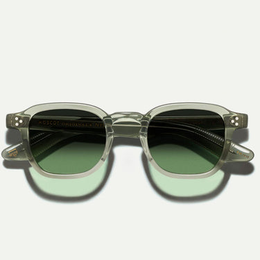 Moscot Sunglasses MOMZA Sage Green/Green Gradient Unisex