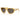 Persol Lunettes de Soleil PO0050S 204/B1 Miel/Gris Foncé Unisexe 2