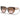 Prada Sonnenbrille PR14WS 01R0A6 Havana-Marrone Sfumato Damen 1