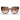 Prada Sonnenbrille PR14WS 01R0A6 Havana-Marrone Sfumato Damen