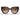 Prada Sonnenbrille PR14WS 2AU6S1 Schildpatt-Braun Verlauf Damen