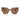 Prada Sonnenbrille PR19ZS 14L06B Honig Schildpatt Dunkelbraun Damen