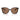 Prada Sonnenbrille PR22ZS 17N06B Schildpatt Dunkelbraun Damen