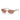 Prada Occhiali da Sole PRD24S 12W10I Malva Trasparente/Marrone Donna 2