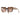 Prada Sonnenbrille PR15WS 01R0A6 Havana/Braun Verlauf Unisex 4