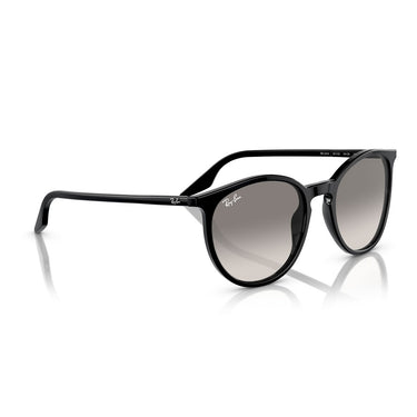 Ray-Ban Lunettes de Soleil RB2204 901/32 Noir/Gris Clair Unisexe 5