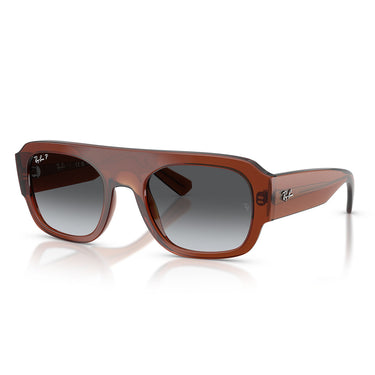 Ray-Ban Sunglasses RB2218 6678T3 Transparent Brown/Smoky Gray Unisex Polarized 1