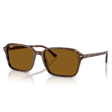 Ray-Ban Occhiali da Sole RB2231 141833 Raimond Havana/Marrone B-15 Unisex 3