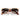 Ray-Ban Sunglasses RB2240 144371 Wayfarer Beige On Brown/Gray Gradient Unisex 6