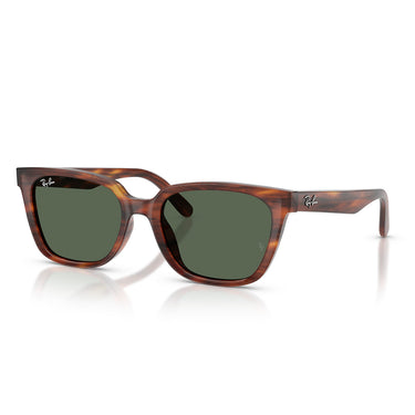 Ray-Ban Occhiali da Sole RB2243D 954 71 Marrone Striato Verde Scuro Unisex 2