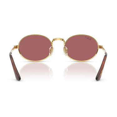 Ray-Ban Occhiali da Sole RB3931 001 AF x ASAP Rocky Oro Arista Viola Unisex Polarizzati 4