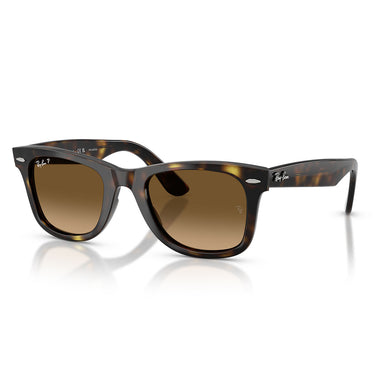 Ray-Ban Sunglasses RB4340 710 M2 Wayfarer Ease Brown Brown Gradient Unisex Polarized 1