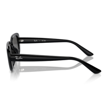 Ray-Ban Occhiali da Sole RB4421D 667787 Nero/Grigio Scuro Unisex 2