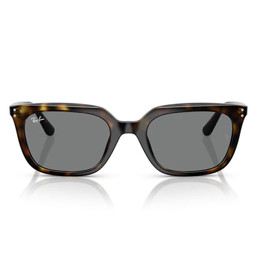 Ray-Ban Sunglasses RB4439D 710/87 Brown/Dark Gray Unisex