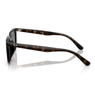 Ray-Ban Sunglasses RB4439D 710/87 Brown/Dark Gray Unisex 2