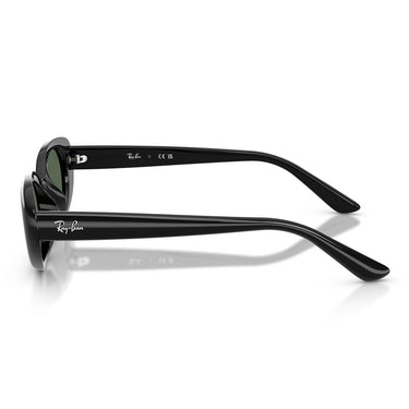 Ray-Ban Occhiali da Sole RB4441D 667771 Nero/Verde Scuro Unisex 3