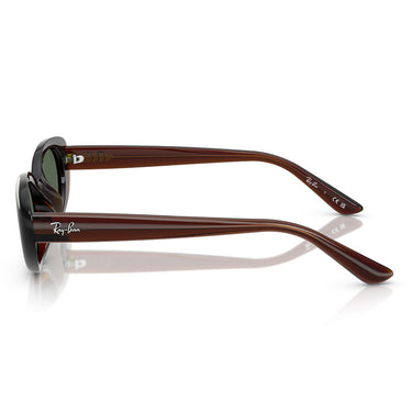 Ray-Ban Occhiali da Sole RB4441D 714 71 Marrone Trasparente Verde Scuro Unisex 3