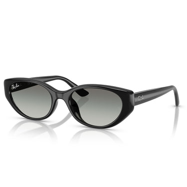 Ray-Ban Occhiali da Sole RB4457D 667711 Nero/Grigio Sfumato Unisex 2