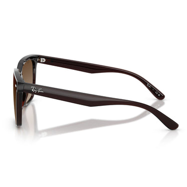 Ray-Ban Sunglasses RB4466D 714/13 Dark Transparent Brown/Brown Gradient Unisex 2