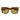 Saint Laurent Occhiali da Sole SL 923 004 Marrone/Marrone Donna