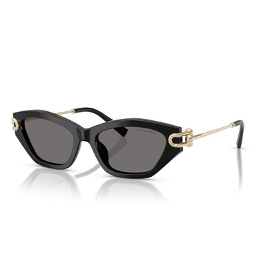 Tiffany & Co. Sunglasses TF4231U 800181 Black/Dark Gray Women Polarized 2