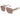 Bottega Veneta Occhiali da Sole BV1501S 003 Beige Trasparente/Marrone Unisex