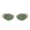 Celine Sunglasses CL40254U 30N Triomphe Gold-Dark Gray Unisex