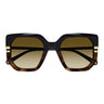 Chloé Occhiali da Sole CH0240S 003 Nero Marrone Donna 