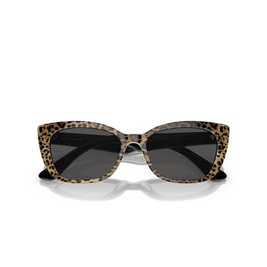 Dolce & Gabbana Gafas de Sol DX4427 316387 Leopardo/Gris Oscuro Niños 5