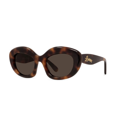Loewe Curvy Brown Cat Eye Sunglasses