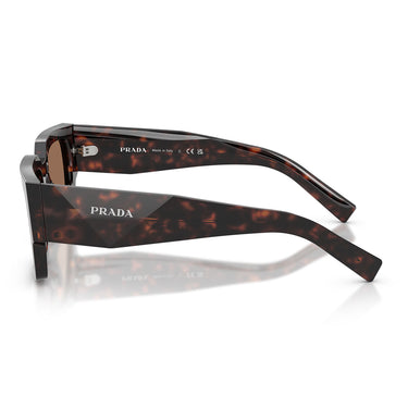 Prada Sonnenbrille PRB17S 17N06B Root Tartarugato/Dunkelbraun Herren 2
