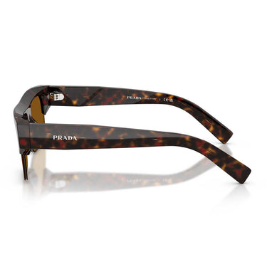 Prada Occhiali da Sole PRD12SU 17N20V Root Tartarugato/Bronzo Scuro Uomo 2