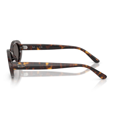 Ray-Ban Occhiali da Sole RB2223 902 B1 Marrone Grigio Scuro Donna 2