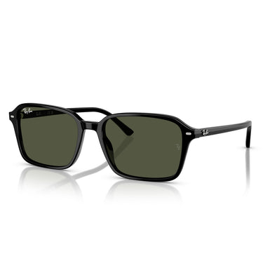 Ray-Ban Occhiali da Sole RB2231 901/31 Raimond Nero/Verde G-15 Unisex 1
