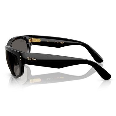 Ray-Ban Sunglasses RB2289 6826J5 Mega Balorama Black/Black Unisex 2