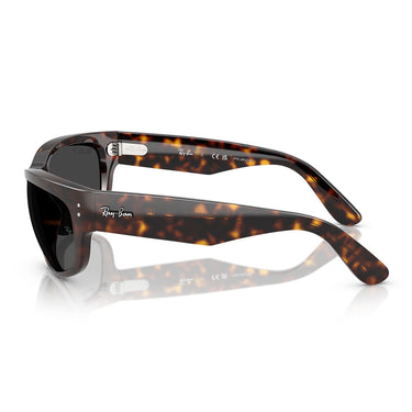 Ray-Ban Occhiali da Sole RB2289 902/48 Mega Balorama Marrone/Nero Unisex Polarizzati 2