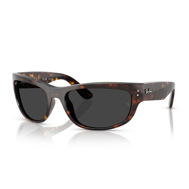Ray-Ban Occhiali da Sole RB2289 902/48 Mega Balorama Marrone/Nero Unisex Polarizzati 1