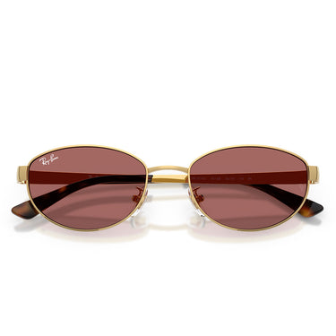Ray-Ban Occhiali da Sole RB3774D 001 69 Oro Arista Violetto Scuro Unisex 5
