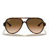 Ray-Ban Occhiali da Sole RB4125 710 51 Cats 5000 Marrone Chiaro Marrone Chiaro Sfumato Uomo  