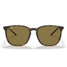 Ray-Ban Lunettes de Soleil RB4387 710/73 Havana/Marron Unisexe