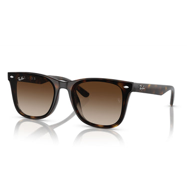Ray-Ban Occhiali da Sole RB4420 710/13 Marrone/Marrone Unisex