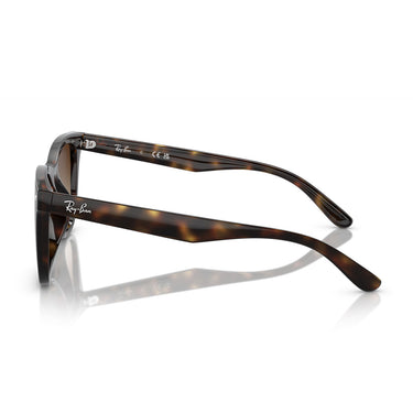 Ray-Ban Occhiali da Sole RB4420 710/13 Marrone/Marrone Unisex