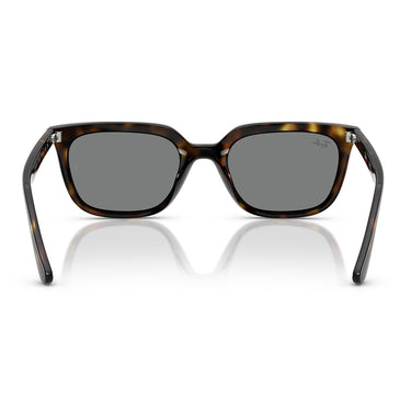 Ray-Ban Sunglasses RB4439D 710/87 Brown/Dark Gray Unisex 3