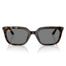 Ray-Ban Sunglasses RB4439D 710/87 Brown/Dark Gray Unisex