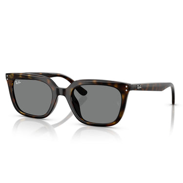 Ray-Ban Sunglasses RB4439D 710/87 Brown/Dark Gray Unisex 1