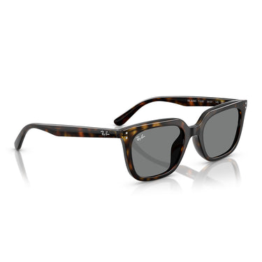 Ray-Ban Sunglasses RB4439D 710/87 Brown/Dark Gray Unisex 4