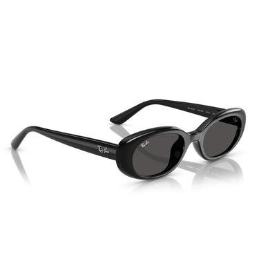 Ray-Ban Sunglasses RB4441D 667787 Black Dark Grey Unisex 4